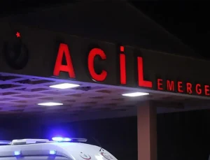 Adana’da iki kişiyi öldüren şahıs intihar etti
