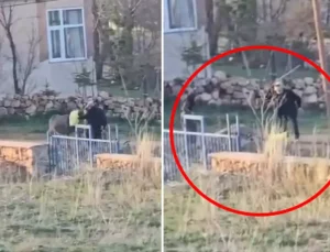 Bunu yapan 80 yaşındaki bir şahıs! Eşeğe sopalı eziyet kamerada