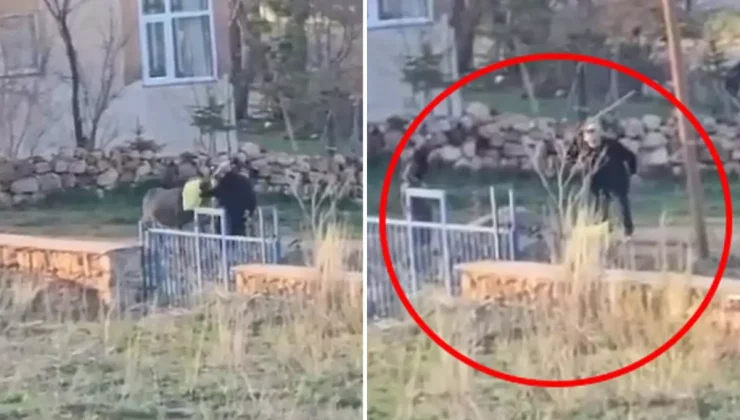 Bunu yapan 80 yaşındaki bir şahıs! Eşeğe sopalı eziyet kamerada