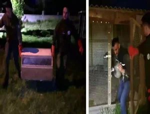 Hayvanat bahçesi gibi ev: Evinden çıkanlar hayrete düşürdü