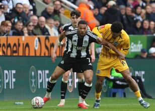 ÖZET İZLE Brighton 1-1 Newcastle maçı golleri