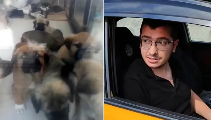 Parçalayıp öldürdüğü köpek sayısı 26’ya ulaştı! Doktor, savunmasında polisleri suçladı