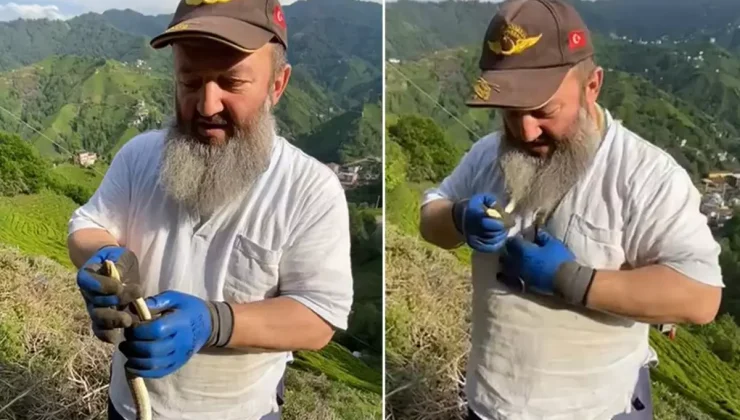 Temizlik yaparken yakaladığı zehirli yılanı boynuna doladı