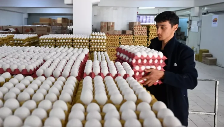 Yumurta fiyatları yapılan düzenlemelerin ardından normal seviyeye döndü