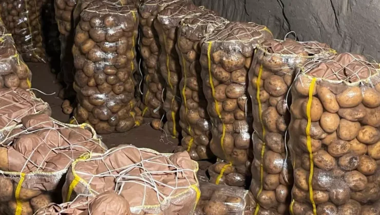 Yurt dışından gelen 2 bin tondan fazla patates virüslü çıktı
